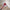 V6H61C828E3E22E9BA89878CB2E6DAC9843R4058478P9