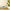 Swiffer Duster Navulling – 4 stuks